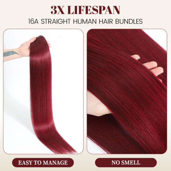 16A Raw Straight Bundles Human Hair 99J Burgundy Human Hair Bundles ,100% Unprocessed Burmese Virgin Remy ,No Tangle Shedding (99J Burgundy Bundles, 22 24 26 28 Inch)