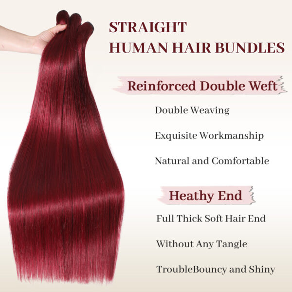 16A Raw Straight Bundles Human Hair 99J Burgundy Human Hair Bundles ,100% Unprocessed Burmese Virgin Remy ,No Tangle Shedding (99J Burgundy Bundles, 22 24 26 28 Inch)